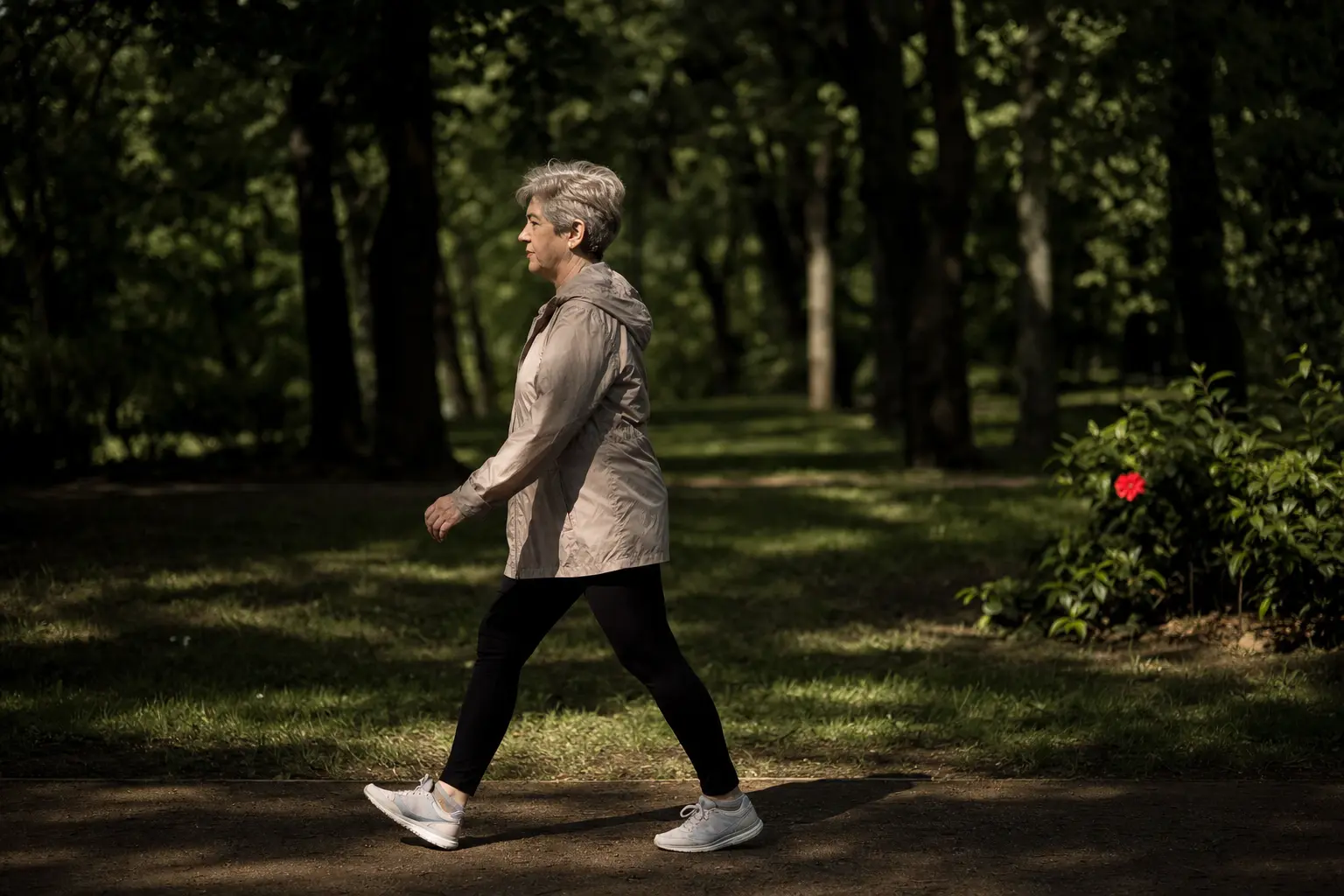 Une personne marche sur un chemin bordé d’arbres.